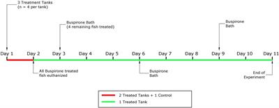 Behavioral and neurophysiological effects of buspirone in healthy and depression-like state juvenile salmon